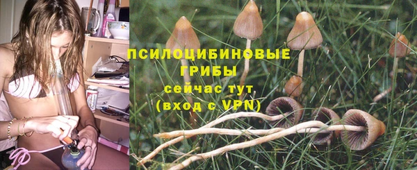 метадон Осинники